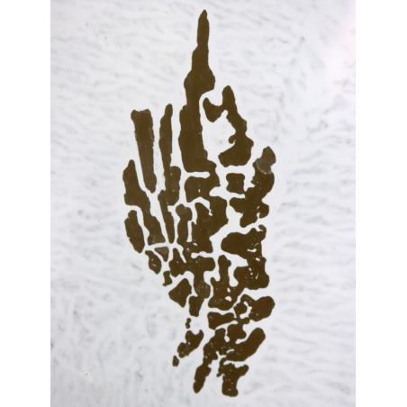 copy of Mirage 01 - 2020