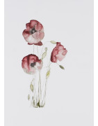 Nature morte